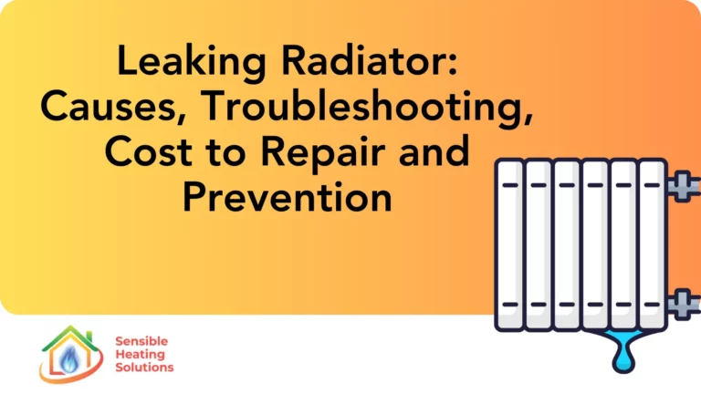 Leaking Radiator - Detailed Guide for Causes, Fix, Costs and Prevention